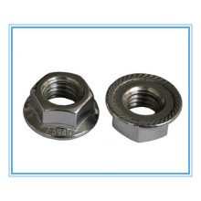 Porcas de flange de cabeça hexagonal (DIN6923)